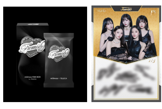 Fromis_9  Fan Box